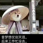 文超